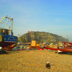 Hastings boats
