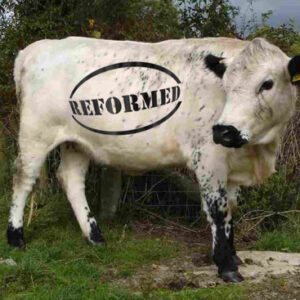 CAP Reform Cow