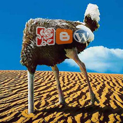 Labour blog ostrich