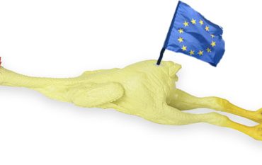 Rubber chicken with an EU flag in its rear