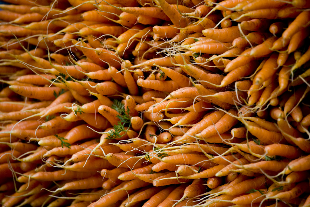 Carrots - Creative Commons / Flickr