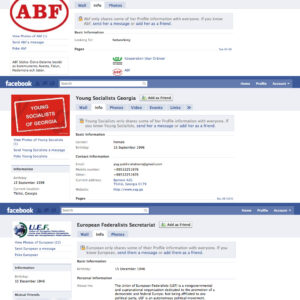 Organisations on Facebook - click to enlarge