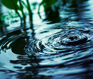 Water ripple - CC / Flickr